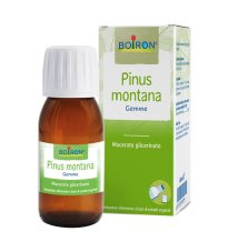 PINUS MONTANA BOI MG 60ML INT