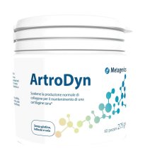 ARTRODYN 60 PORZIONI 275G