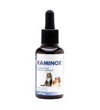 KAMINOX SCIROPPO 60ML