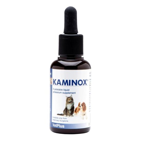 KAMINOX SCIROPPO 60ML