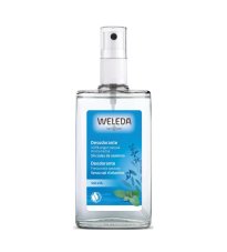 DEODORANTE SPRAY SALVIA 100ML