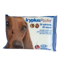 IRYPLUS POCKET SALVIETTINE 20P