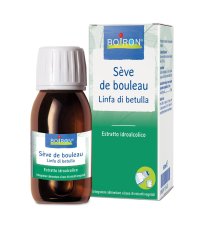 SEVE DE BOULEAU BOI EI 60ML