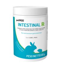 PETMOD INTESTINAL RODITORI 60G