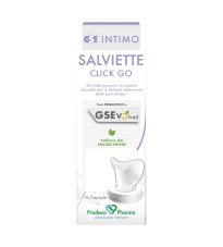 GSE INTIMO SALVIETTE CLICK GO