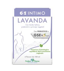 GSE INTIMO LAVANDA 4FL