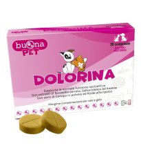 DOLORINA 20CPR NF