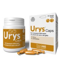 URYS CAPS 30CPS