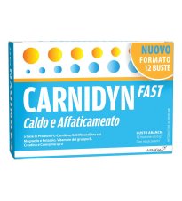 CARNIDYN FAST 12BUST