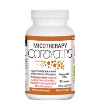 CORDYCEPS MICOTHERAPY 90CPS