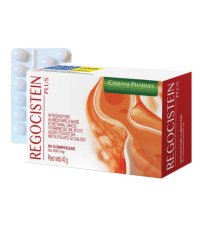 REGOCISTEIN PLUS 80CPR