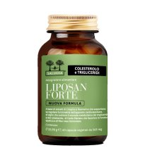 LIPOSAN FORTE NF SALUGEA 60CPS