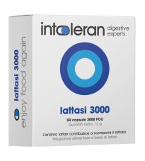 INTOLERAN LATTASI 3000 50CPS