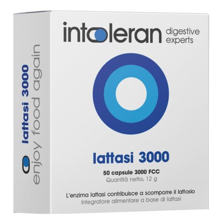 INTOLERAN LATTASI 3000 50CPS