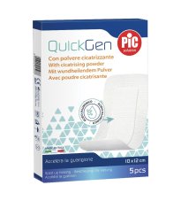 CER PIC CICATRIZZANTE 10X12 5P