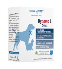 DYNAMO L SMALL 20BUST APPETIBI