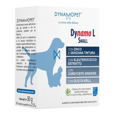 DYNAMO L SMALL 20BUST APPETIBI