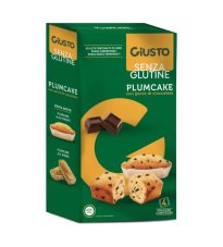 GIUSTO S/G PLUMCAKE C/GTT CIOC