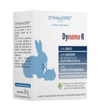 DYNAMO R 20BUST 2G