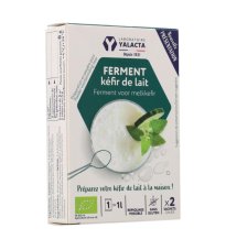 FERMENTI KEFIR LATTE BIO 2BUST