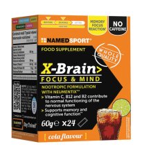 XBRAIN 24STICK