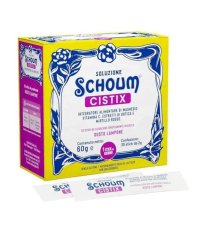 SOLUZIONE SCHOUM CISTIX30STICK